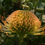 20080626_226b