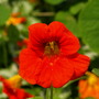 20080626_27b