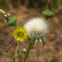 20080626_241