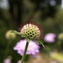 20080626_93b