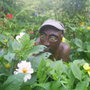 Joes_garden_012