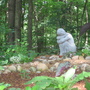 Statue in Spring