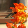 20080628_08b