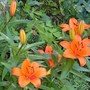 29th_june_001