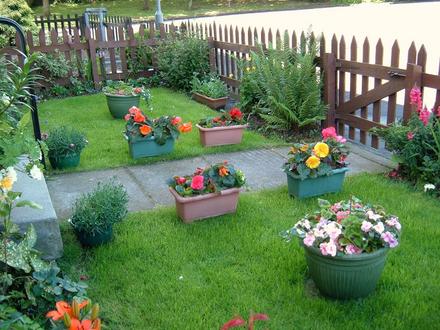 Front Garden 