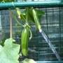 29th_june_006
