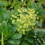 Picture_206