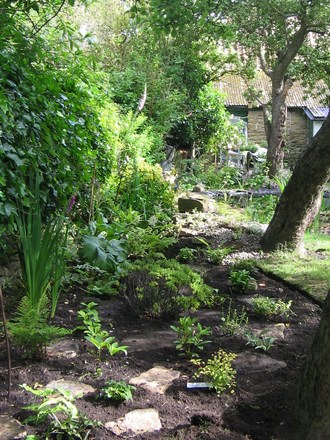 Newly created woodland border.