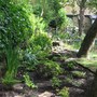 Newly created woodland border.