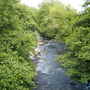 Picture_256