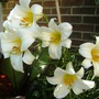 29_june_003