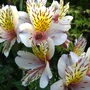 29_june_005