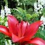 29_june_007