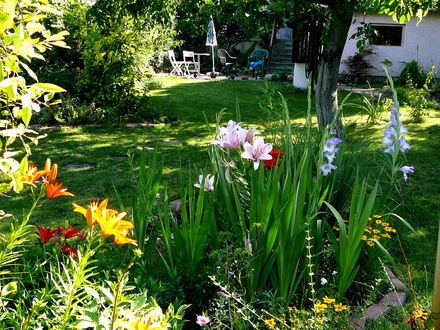 View from central bed looking up towards patio.
