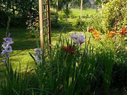 Another view of central bed.in back garden