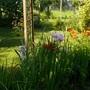 P1020531