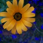 100_8705
