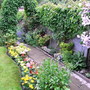 Back garden path and arch