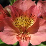 20080629_72b