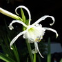 20080629_10b