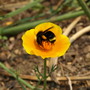 20080626_50b