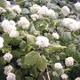 2008-06-27_037