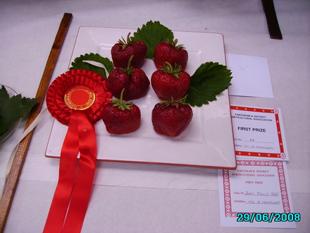 Strawberries (BIG D)