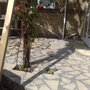 my crazy patio