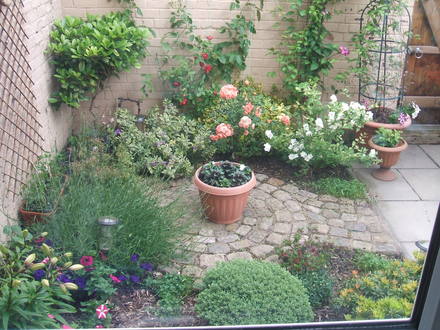 My Garden