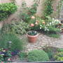 My Garden