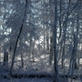 After the big snow