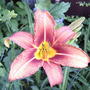 2008-06-30_012