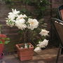Pict0204