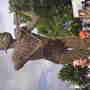 Pict0077