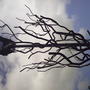 Pict0082