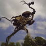 Pict0092
