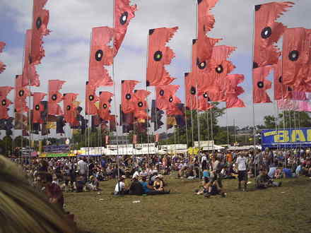 field of flags