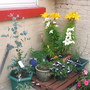 Lilies, eucalyptus, guara