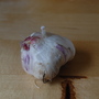 My first garlic