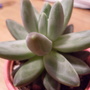 name please