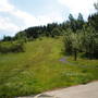 Picture_176