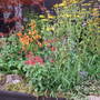 Floral_stand_ag_show