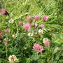 Picture_211