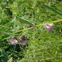 Picture_212