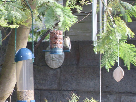 feeding time