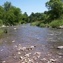 River at Riverwood