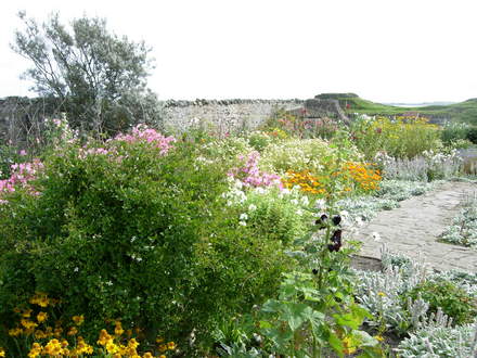 Annuals