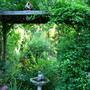 Buffy, on her favorite perch in the yard. She thinks she sees all and knows all from up there !