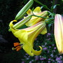 6-23-08_079