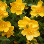 Picture_1586